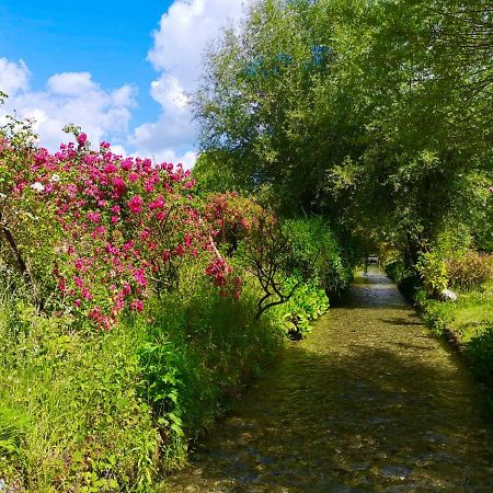 Bed and Breakfast Aux Jolies Sources Saint-Aubin-sur-Scie Exteriér fotografie